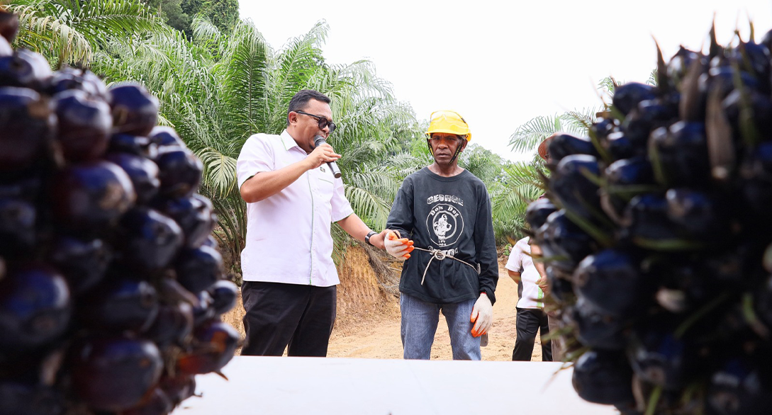TH Plantations Berhad Welcomes Malaysian Palm Oil CTRE Programme - Image 2